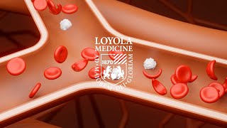 Loyola Medicine’s sickle cell program: 10 Years of life-changing care