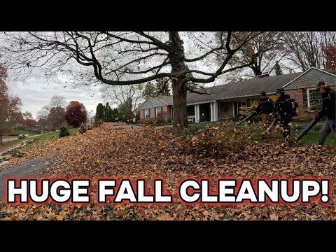 Fall Leaf Cleanup || 3 Man Team Tackles This HUGE Cleanup!