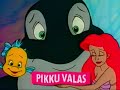 VHS Alku Tässä Tulee Aku