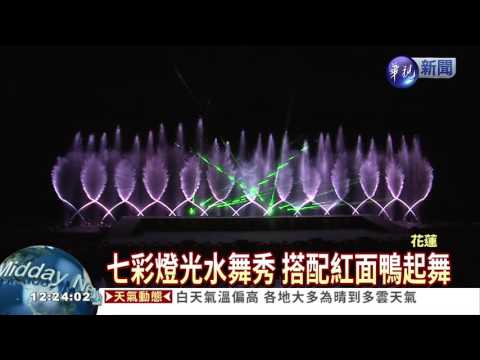 樂遊暑假! 紅面鴨重現鯉魚潭