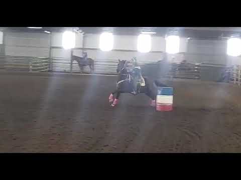 Rawhide Plain Jane "Jane" - 05/07/2022