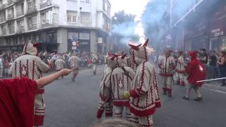 preview picture of video 'Festa Major de Sabadell 2014 - Cercavila Colles de Diables'