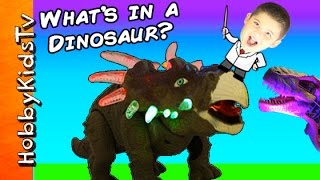 What's in a Robot Dinosaur? Animatronic T-Rex Toy Mechanical + Science Lab by HobbyKidsTV