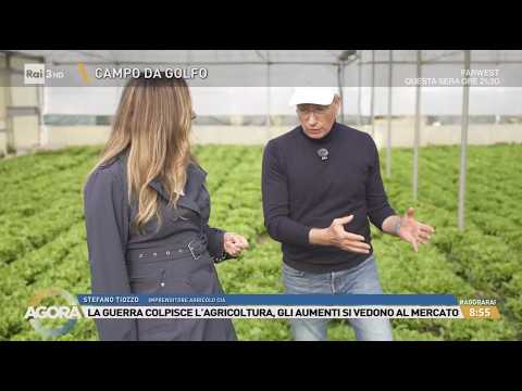 RAI 3 AGORA' - Guerra e rincari: agricoltura in crisi. Con Stefano Tiozzo (Cia)