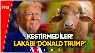 ‘Donald Trump’ Mandası Kesilmekten Son Anda Kurtuldu!