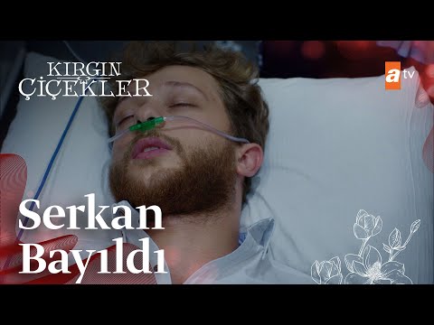 Serkan'a ne oldu? - Kırgın Çiçekler 90. Bölüm