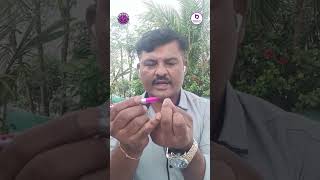 Download lagu High BP ಈ ರೀತಿಯಾಗಿ ನಿಯಂತ್ರಣದಲ್ಲಿಟ್ಟುಕೊಳ್ಳಬಹುದು! mp3 Download lagu High BP ಈ ರೀತಿಯಾಗಿ ನಿಯಂತ್ರಣದಲ್ಲಿಟ್ಟುಕೊಳ್ಳಬಹುದು! mp3