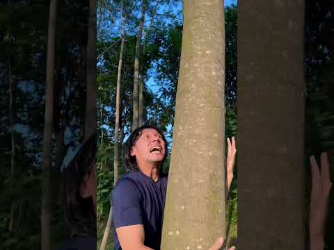 tarjan-keder-ketemu-sep-muna