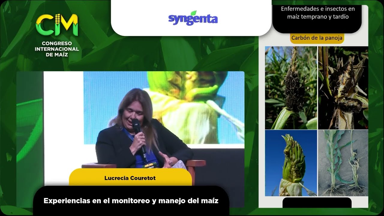 Enfermedades e insectos en maíz - Sala Syngenta - Día 2 /P1