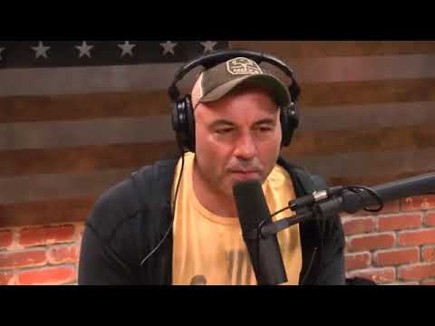 John Danaher defines Jiu Jitsu as a four step system.