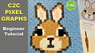 How to Crochet C2C Pixel Graphs (Mini C2C) | Block No. 1 – Rabbit | JAYG Forest Animals