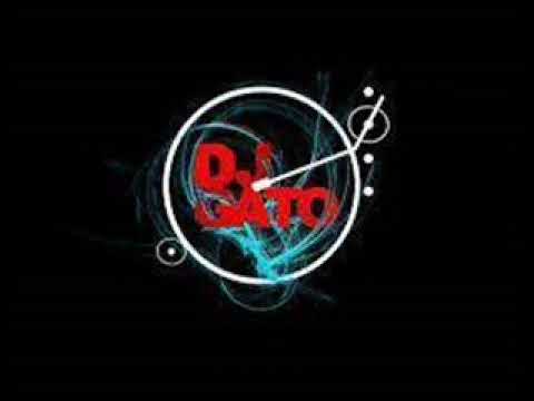 DISCOMOVIL DJ GATO MIX - SET #1 2022