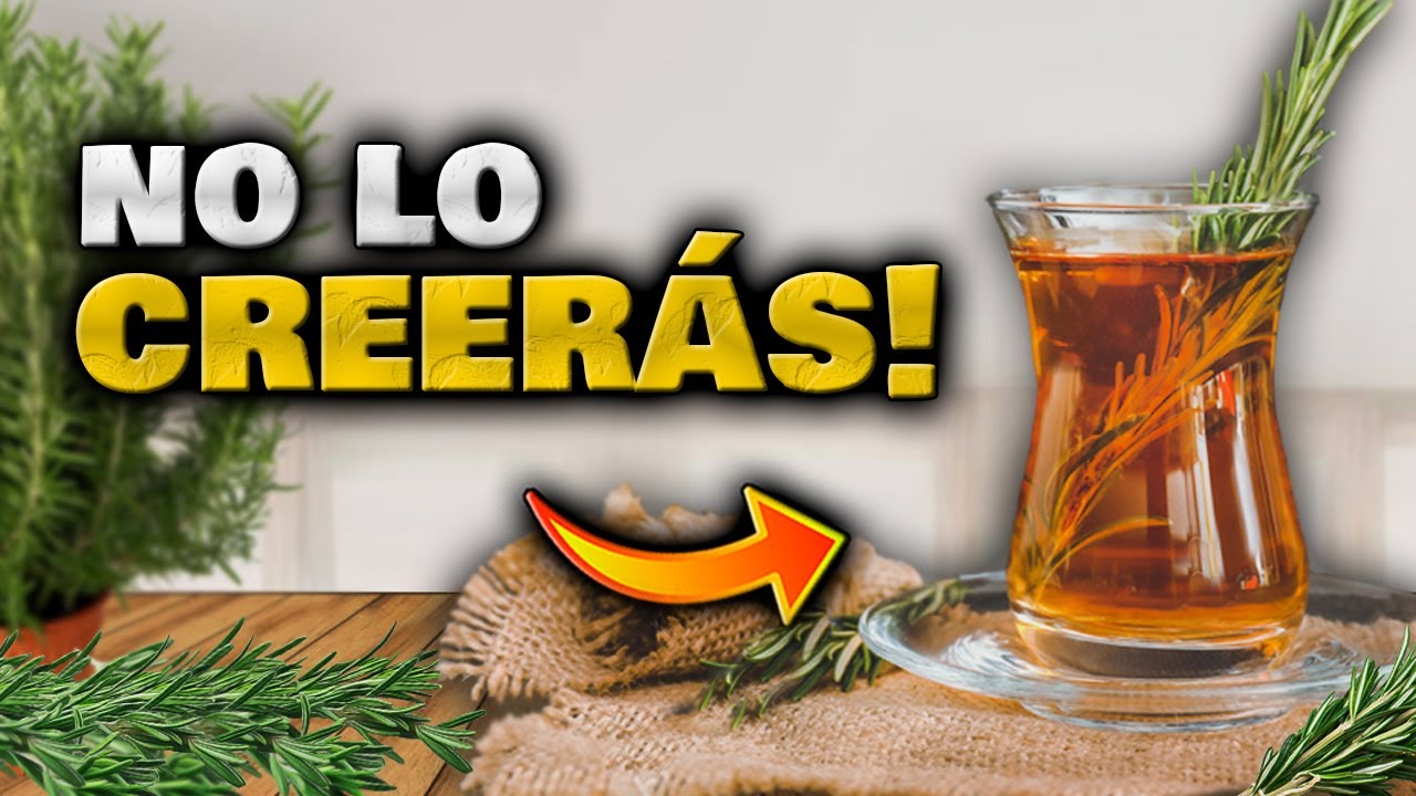 Watch ESTO OCURRE si tomas TÉ DE ROMERO a DIARIO!! Beneficios y Propiedades de la Planta de Romero Now ESTO OCURRE si tomas TÉ DE ROMERO a DIARIO!! Beneficios y Propiedades de la Planta de Romero