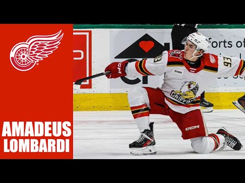 Amadeus Lombardi | 2024-25 Highlights