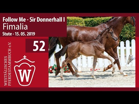 52 Fimalia Stute v. Follow Me - Sir Donnerhall I
