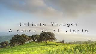 Download lagu Julieta Venegas - A donde va el viento | (Slowed   Reverb) mp3
