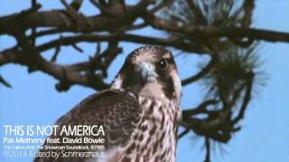 Pat Metheny Group feat. David Bowie - This Is Not America