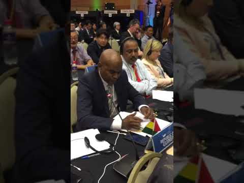 Guinea Elected Vice-Chair of the International Whaling Commission