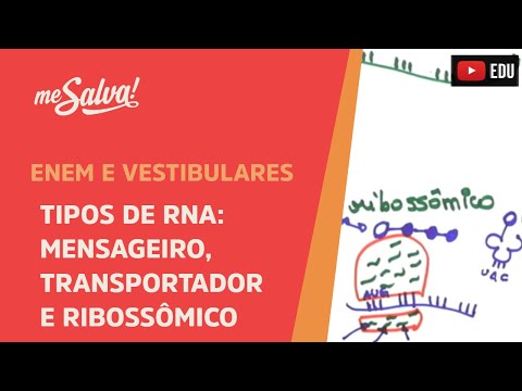 Me Salva! GEN05 - Genética - Tipos de RNA: mensageiro, transportador e ribossômico