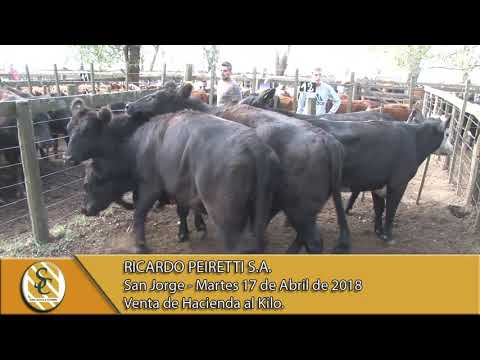17-04-18 Venta de Hacienda al Kilo - Ricardo Peiretti S.A. - San Jorge.