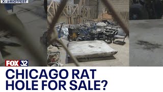 Riot Fest wants to buy the iconic 'Chicago Rat Hole' after it was removed by construction crews
