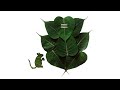 Peepal Leaf Ganesha How To Make Vinayagar With Peepal Leaf Leaf Craft