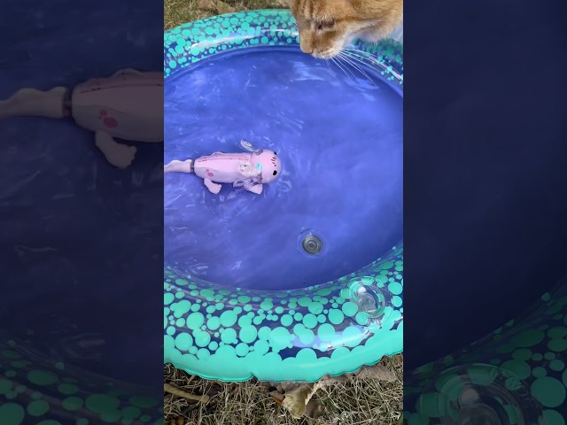 Vídeo relacionado con Aurora, 33675, Palm Pals Axolotl, 13cm, Peluche, Rosa