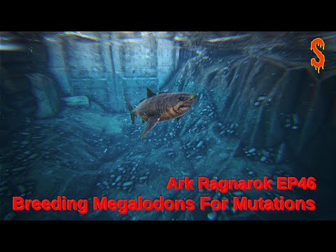 Breeding Megalodons For Mutations! Ark Ragnarok EP46