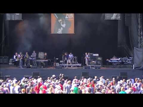 Any kind of pain - Zappanale #23 - Dead dino storage