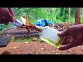 PETROL BOMB EXPERIMENT 🌼 | Don't try this | How to Make Petrol Bomb