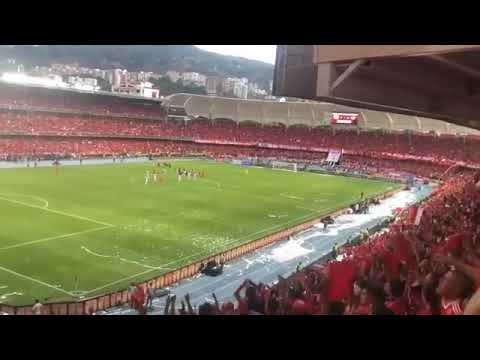 "Esta hinchada es única !!! Extrañando el carnaval !!!!  Así como nos extrañas vos vigilante!" Barra: Baron Rojo Sur • Club: América de Cáli • País: Colombia