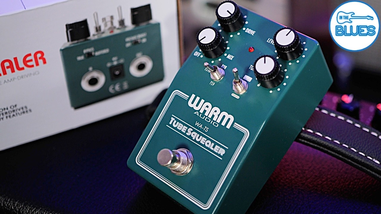 Warm Audio Combined all The Best Tube Screamer Circuits! - YouTube