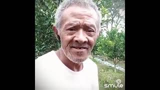 Download lagu MERINDING DENGAR SUARA KAKEK INI NYANYI LAGU UNGU - ANDAI KU TAU mp3 Download lagu MERINDING DENGAR SUARA KAKEK INI NYANYI LAGU UNGU - ANDAI KU TAU mp3