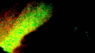 GRUFF RHYS - HONEY ALL OVER