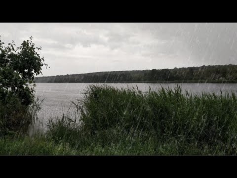 Заснуть С Шумом Проливного дождя - Мгновенный релакс под шум природы