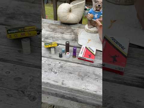 Can You Shoot Slugs In A Full Choke? #shorts