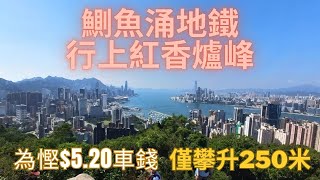 【慳得一蚊得一蚊系列】紅香爐峰另類行法｜鰂魚涌行上紅香爐峰｜自己方法上山｜唔洗坐車｜攀升250m｜有陰暗位｜詳細路況