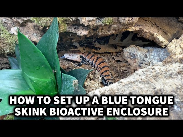 3قطع من الخشب الطبيعي