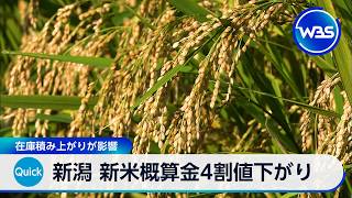 新潟 新米概算金4割値下がり 在庫積み上がりが影響【WBS】