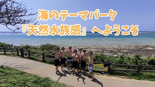 シュノーケリング・SUP専門店【糸満マリンセンター】