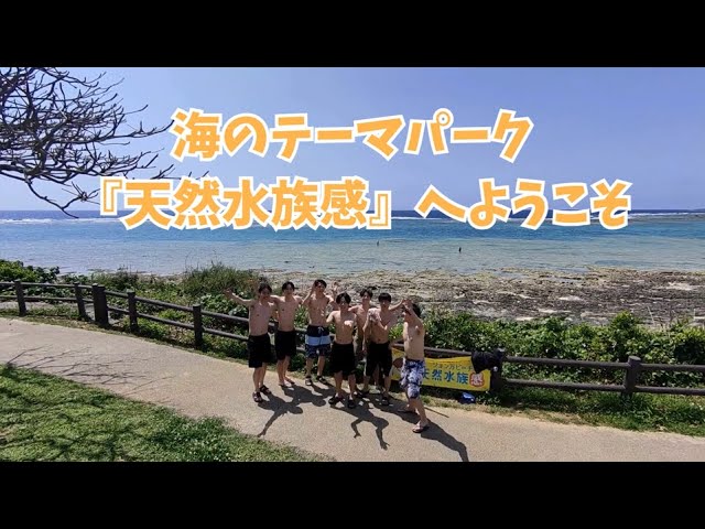 那覇・糸満のシュノーケリング専門店 SeaTraveler