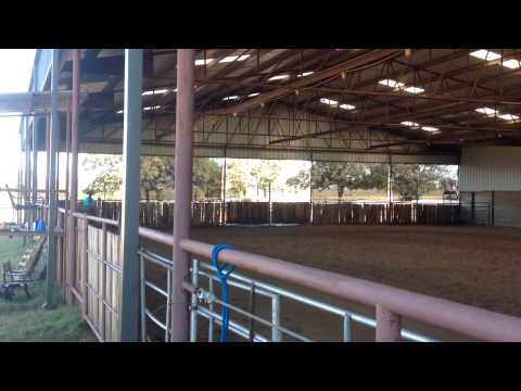 Leah Sawyer - Horse Show