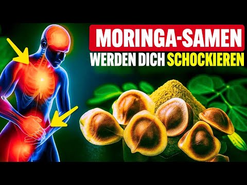 Iss 7 Tage Moringa-Samen und staune über die 12 erstaunlichen Vorteile