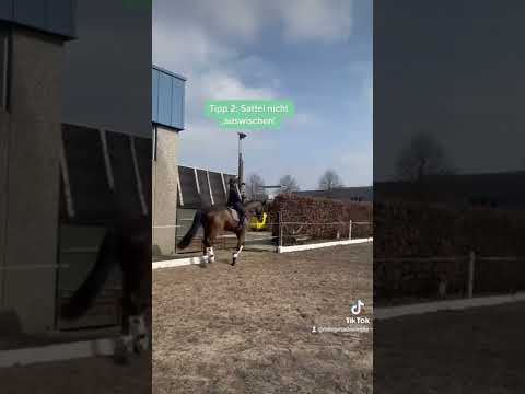 Tipps für besseres Aussitzen im Galopp #reiten