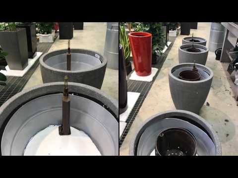 Luwasa Greenstyling planterar växter med hydrokultur