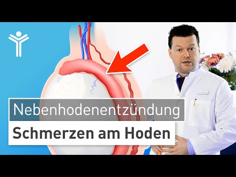 Nebenhodenentzündung: Was tun bei Schmerzen und Schwellung am Hoden | Epididymitis