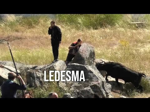 Ledesma 2024 Espantes con Toros Bravos