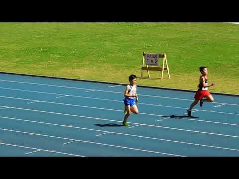 200M DM 3ºS - CONIMA 2018