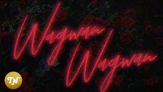 Wagwan Music Video