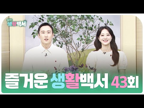 즐거운 생활백서